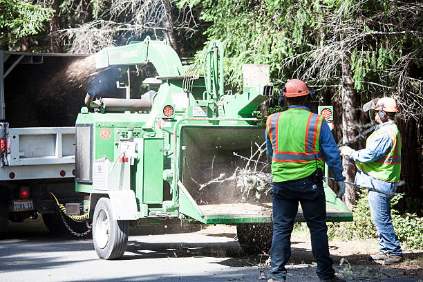 Seasonal Cleanup (Spring/Fall) in Jim Thorpe, PA