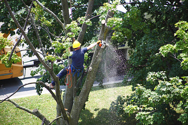 Landscape Design and Installation in Jim Thorpe, PA